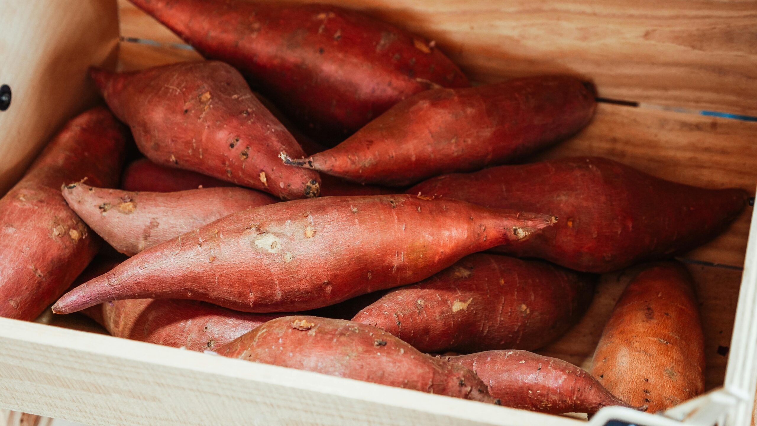Sweet Potato